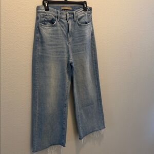 Joe's Jeans Light Blue Flare Denim